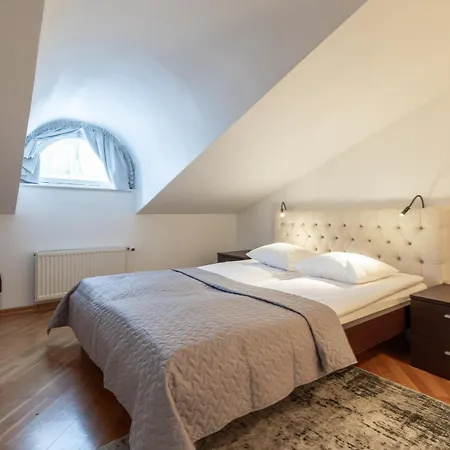 Old Town - Demini 公寓 塔林